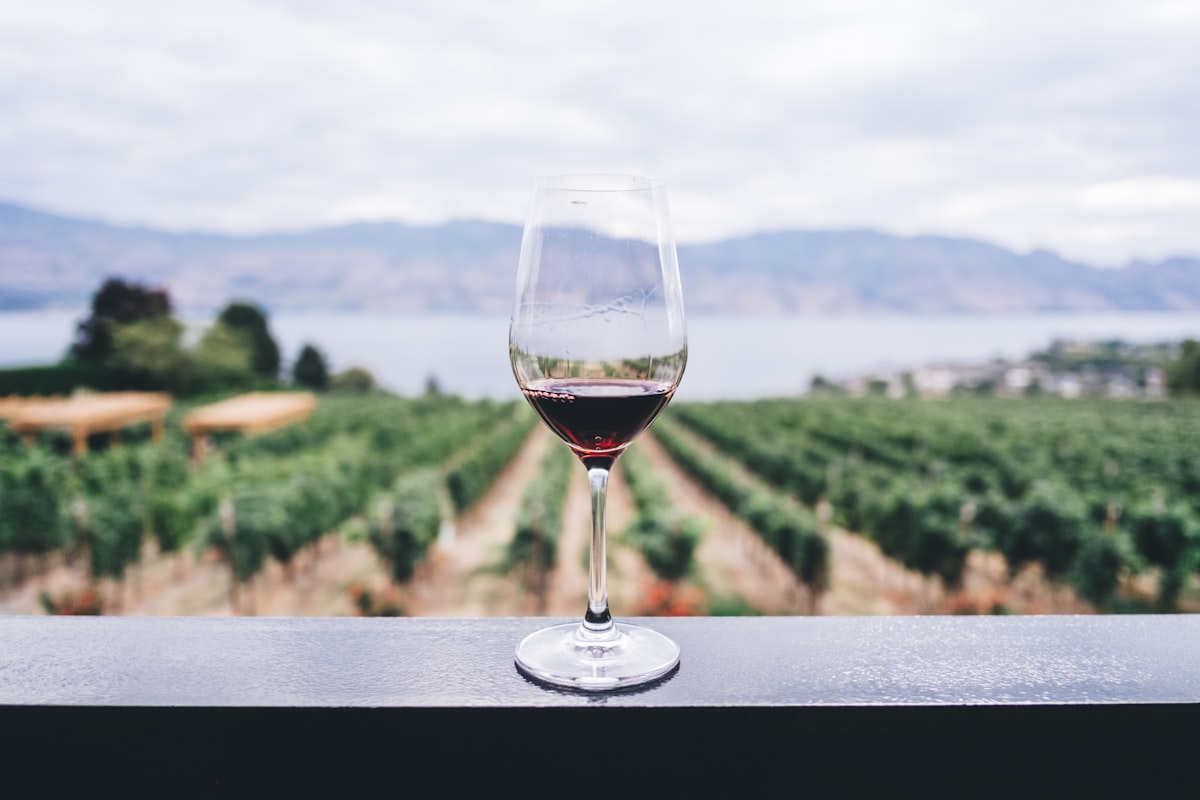 Annapolis Valley Wine Tour Guide